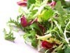 Apa Itu Mixed Green Salad?