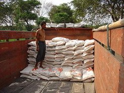 Dirut Bulog: Kita Punya 2,4 Juta Ton, Stok Aman Hingga 9 Bulan