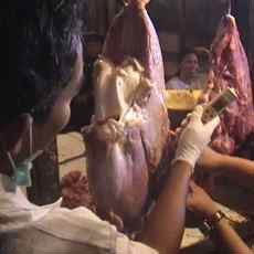 Harga Daging Sapi dan Ayam Curi Start, Sembako Masih Aman