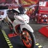 Striping Naga Emas dan Kombinasi Baru Warna Putih