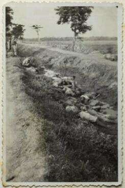 Foto Eksekusi oleh Tentara Belanda Diduga Peristiwa Westerling di Sulsel