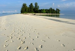 Sail Morotai Bakal Tampil Spesial untuk Veteran PD II