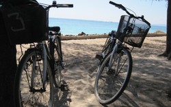 Kisah Sebuah Pulau di Indonesia yang Bebas Polusi 