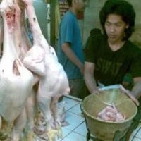 Ini Penyebab Harga Daging Ayam Naik 