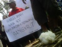 Pedagang Ayam Demo Gedung Sate