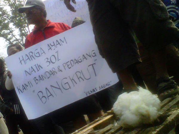 Pedagang Ayam Demo Gedung Sate