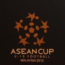 Berada di Grup Keras, Pelatih Indonesia Tertantang