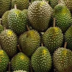 Nahas! Pria Malaysia Tewas Tertimpa Sekeranjang Penuh Durian