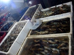 Kuliner Seafood Lezat dan Murah di Kedonganan, Bali