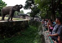 Asyik, Hari Ini Masuk Ragunan Gratis