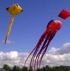 Bocah Tewas Tertimpa Layangan Raksasa di Bali