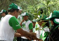 12 Ribu Pohon Hijaukan Hutan Mangrove Muara Angke