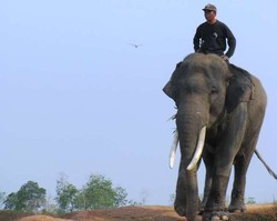 Ini Dia 7 Destinasi Unggulan Lampung