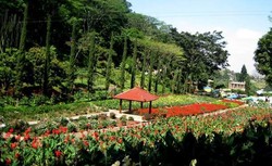 Melancong ke Kota Peristirahatan Raja di Batu