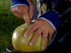 Liburan ke Melaka, Wajib Nonton Coconut Kung Fu!