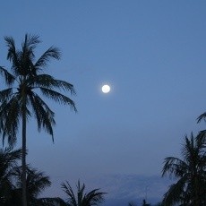 Muhammadiyah Tak Hadiri Sidang Isbat Penentuan Awal Ramadan
