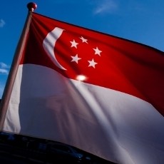 Bakar Bendera Singapura, Anak 13 Tahun Ditahan Polisi