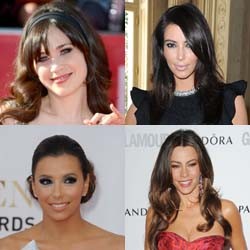 Ini Dia 10 Bintang Televisi Paling Tajir 2012