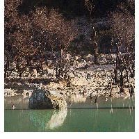 Menajamkan Foto dengan Filter High Pass