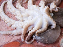 Inilah Alasan Orang Korea Suka Seafood Mentah!