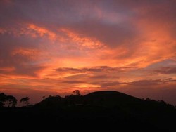 Senja Cantik di Kebun Teh Karanganyar, Jateng