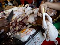 Awal Ramadan Disambut Lonjakan Ayam Potong