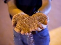 Perusahaan Agrobisnis Raksasa Brasil Tunda IPO Rp 4,5 Triliun