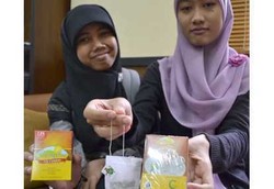 Teh Ciplukan Buatan Mahasiswa UGM Aman Bagi Pasien Diabetes