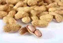 Kacang-kacangan Dapat Menurunkan Risiko Kanker Hati