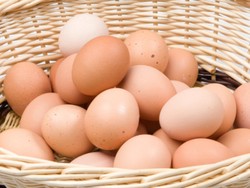 Wah, Ternyata Kini Telur Lebih Bernutrisi Dibandingkan 30 Tahun Lalu!