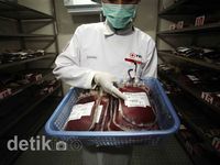 Ramadan, Stok Darah Menurun