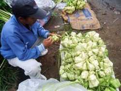 Ini Dia 10 Peluang Usaha yang Cocok di Bulan Puasa