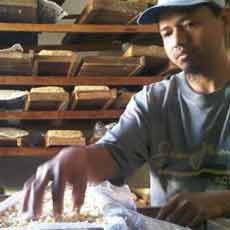 Harga Kedelai Rp 8 Ribu per Kg, Pengrajin Tempe Pilih Kecilkan Ukuran