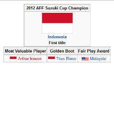 Di Wikipedia Indonesia Sudah Juara Piala AFF 2012