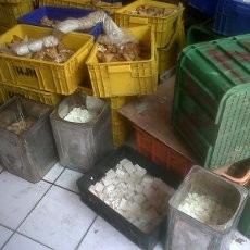 Ratusan Kg Tahu-Tempe Razia Teronggok Sia-sia, Mubazir