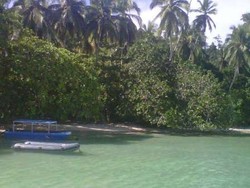 Ini Dia Kecantikan Waiwo di Raja Ampat