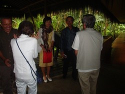 Prihatin! Orangutan di Samboja Lebih Diperhatikan Turis Asing