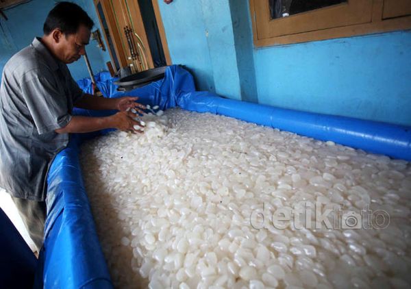 Ramadan, Penjualan Kolang Kaling Meningkat