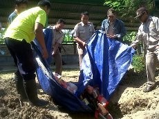 Puluhan Kilogram Daging Asal Malaysia & Singapura Dimusnahkan