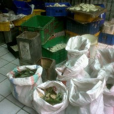 Tahu-Tempe Hasil Sweeping Makin Menumpuk Sia-sia