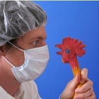 Cegah Penyebaran Flu Burung, Otoritas Meksiko Vaksinasi 10 Juta Unggas