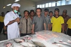 Yuk.. Borong Aneka Hidangan Laut Murah di Bazar Ikan KKP