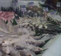 Duh.. Punya Ikan Tuna Berlimpah, RI Masih Impor