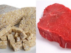Kandungan Protein Tempe Lebih Tinggi dari Daging Sapi