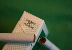 Stop Rokok Kalau Tak Ingin Tulang Cepat Keropos