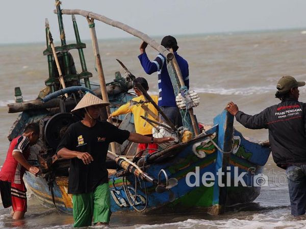 Paus Terdampar, Berkah Bagi Nelayan