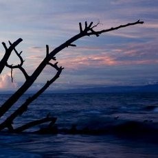 Waropen, Satu Lagi Surga di Ujung Timur Indonesia