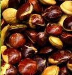 Harga Jengkol Mulai Rontok Jadi Rp 25.000/Kg