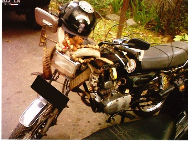 Kawin Silang Honda dan Domba?