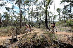 Seru! Mengayuh Sepeda di Jalur Harta Karun Australia